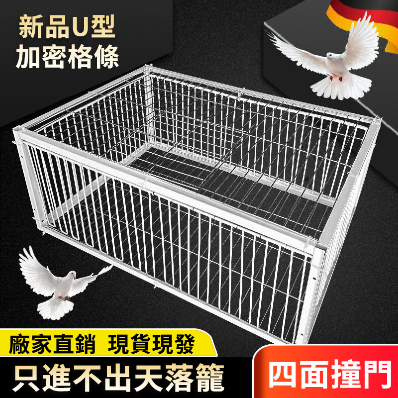 捕鳥天落籠，鳥兒自投羅網！高品質材料，坚固耐用，操作簡單，易上手，助您捕鳥的不二之選！